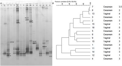 Abundance and Diversity of Hydrogenotrophic Microorganisms in the Infant Gut before the Weaning Period Assessed by Denaturing Gradient Gel Electrophoresis and Quantitative PCR